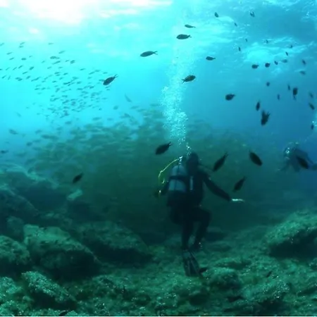Avec Terrasse Vue Mer, Proximite Plage, Place Parking *